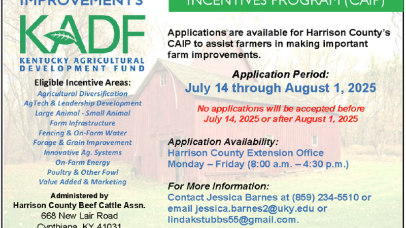 CAIP Info