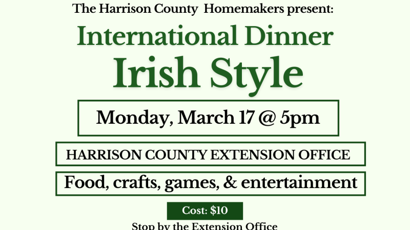 International Dinner Flyer