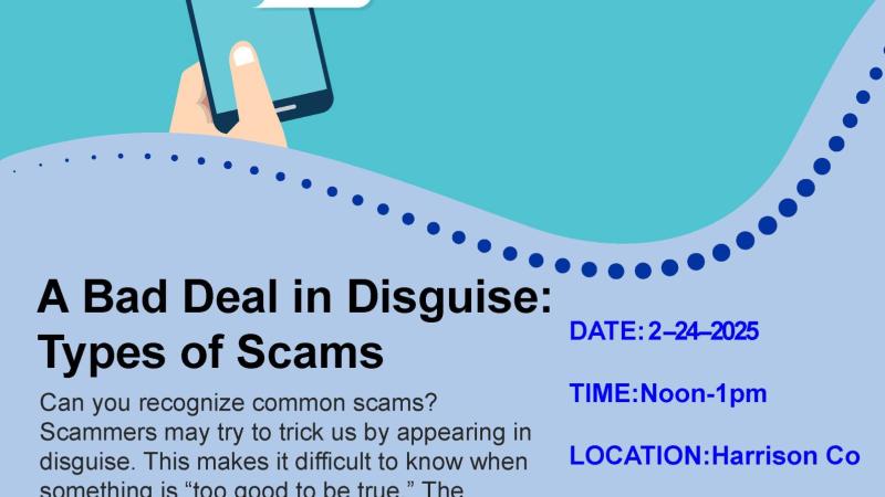 Scam Flyer