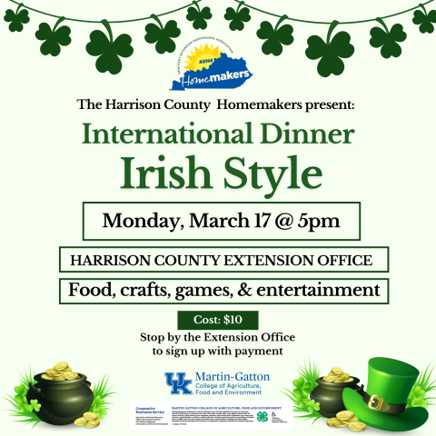 International Dinner Flyer