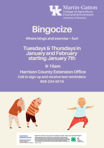 Bingocize Flyer